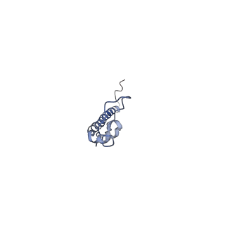 4855_6res_8_v1-2
Cryo-EM structure of Polytomella F-ATP synthase, Rotary substate 3C, composite map