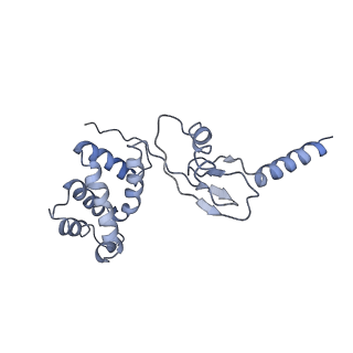 4855_6res_P_v1-2
Cryo-EM structure of Polytomella F-ATP synthase, Rotary substate 3C, composite map