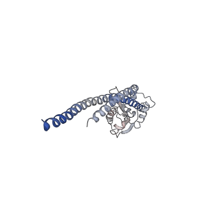 4855_6res_S_v1-2
Cryo-EM structure of Polytomella F-ATP synthase, Rotary substate 3C, composite map