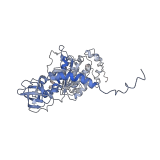 4855_6res_T_v1-2
Cryo-EM structure of Polytomella F-ATP synthase, Rotary substate 3C, composite map