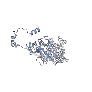 4855_6res_U_v1-2
Cryo-EM structure of Polytomella F-ATP synthase, Rotary substate 3C, composite map