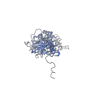 4855_6res_V_v1-2
Cryo-EM structure of Polytomella F-ATP synthase, Rotary substate 3C, composite map