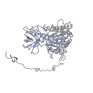4855_6res_X_v1-2
Cryo-EM structure of Polytomella F-ATP synthase, Rotary substate 3C, composite map