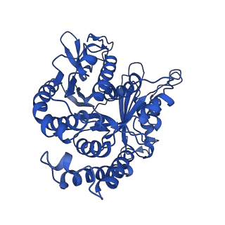 4858_6rev_B_v1-2
Cryo-EM structure of the N-terminal DC repeat (NDC) of human doublecortin (DCX) bound to 13-protofilament GDP-microtubule