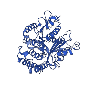4858_6rev_a_v1-2
Cryo-EM structure of the N-terminal DC repeat (NDC) of human doublecortin (DCX) bound to 13-protofilament GDP-microtubule