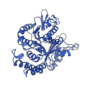 4858_6rev_b_v1-2
Cryo-EM structure of the N-terminal DC repeat (NDC) of human doublecortin (DCX) bound to 13-protofilament GDP-microtubule