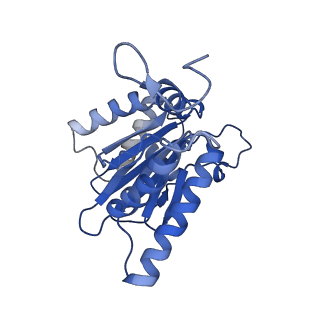 4860_6rey_A_v1-2
Human 20S-PA200 Proteasome Complex
