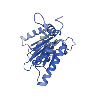 4860_6rey_A_v2-0
Human 20S-PA200 Proteasome Complex