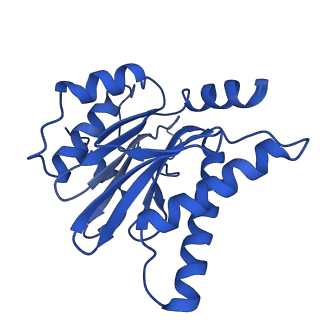 4860_6rey_B_v1-2
Human 20S-PA200 Proteasome Complex