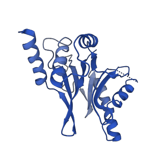 4860_6rey_C_v1-2
Human 20S-PA200 Proteasome Complex