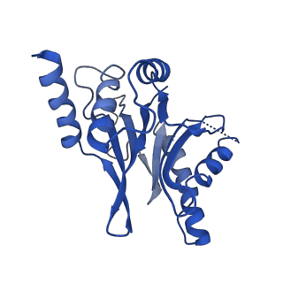 4860_6rey_C_v2-0
Human 20S-PA200 Proteasome Complex