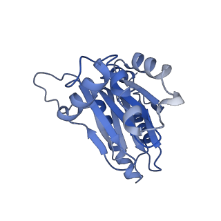 4860_6rey_D_v1-2
Human 20S-PA200 Proteasome Complex