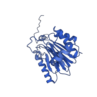 4860_6rey_E_v1-2
Human 20S-PA200 Proteasome Complex