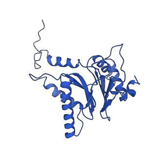 4860_6rey_F_v1-2
Human 20S-PA200 Proteasome Complex