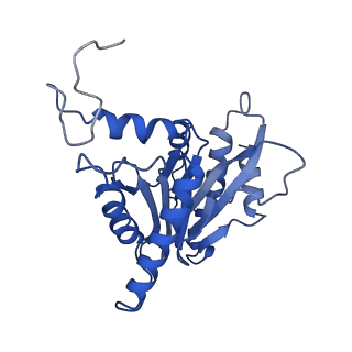 4860_6rey_G_v1-2
Human 20S-PA200 Proteasome Complex