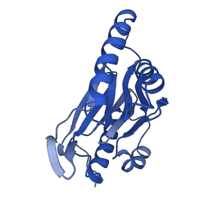 4860_6rey_H_v2-0
Human 20S-PA200 Proteasome Complex