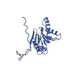 4860_6rey_I_v1-2
Human 20S-PA200 Proteasome Complex