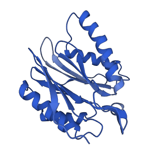 4860_6rey_J_v1-2
Human 20S-PA200 Proteasome Complex