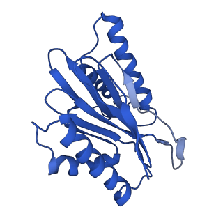 4860_6rey_K_v1-2
Human 20S-PA200 Proteasome Complex