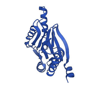 4860_6rey_L_v1-2
Human 20S-PA200 Proteasome Complex