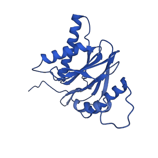 4860_6rey_M_v1-2
Human 20S-PA200 Proteasome Complex