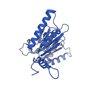 4860_6rey_O_v1-2
Human 20S-PA200 Proteasome Complex