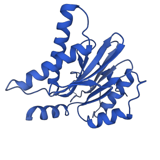 4860_6rey_P_v1-2
Human 20S-PA200 Proteasome Complex