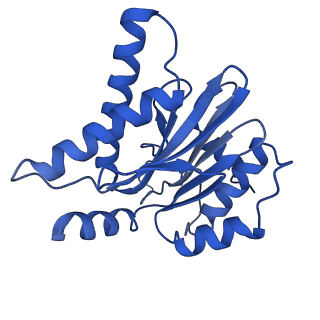 4860_6rey_P_v2-0
Human 20S-PA200 Proteasome Complex