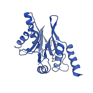 4860_6rey_Q_v1-2
Human 20S-PA200 Proteasome Complex