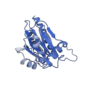4860_6rey_R_v2-0
Human 20S-PA200 Proteasome Complex