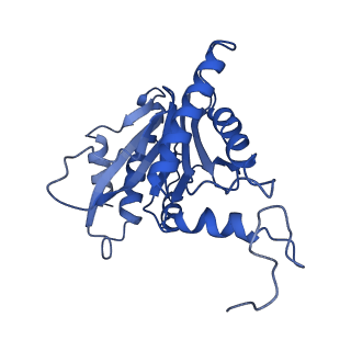 4860_6rey_U_v1-2
Human 20S-PA200 Proteasome Complex