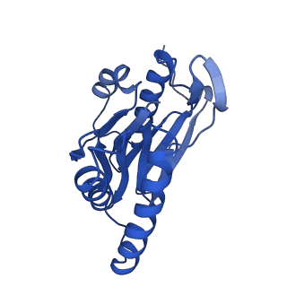 4860_6rey_V_v1-2
Human 20S-PA200 Proteasome Complex