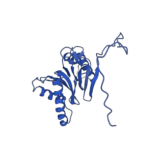 4860_6rey_W_v1-2
Human 20S-PA200 Proteasome Complex
