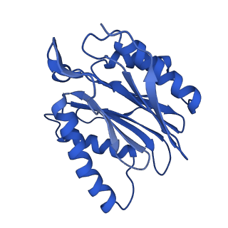 4860_6rey_X_v1-2
Human 20S-PA200 Proteasome Complex