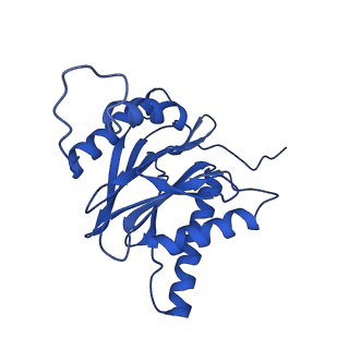 4860_6rey_a_v1-2
Human 20S-PA200 Proteasome Complex