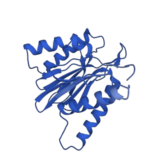 4860_6rey_b_v1-2
Human 20S-PA200 Proteasome Complex