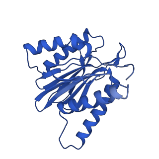 4860_6rey_b_v2-0
Human 20S-PA200 Proteasome Complex
