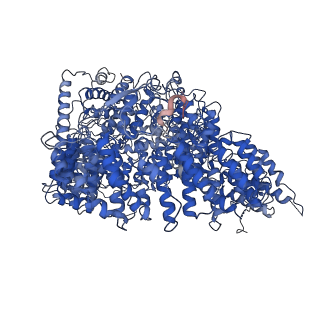 4860_6rey_c_v1-2
Human 20S-PA200 Proteasome Complex