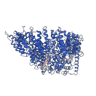 4860_6rey_d_v1-2
Human 20S-PA200 Proteasome Complex