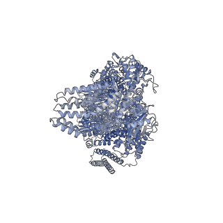 19118_8rfe_A_v1-0
CgsiGP2 sample in nanodisc