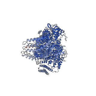 19119_8rfg_A_v1-0
CgsiGP3 sample in nanodisc