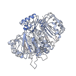 19121_8rfh_A_v1-0
CryoEM structure of the plant helper NLR NRC2 in its resting state