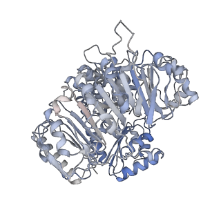 19121_8rfh_B_v1-0
CryoEM structure of the plant helper NLR NRC2 in its resting state