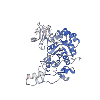 24442_7rfh_B_v1-2
HUMAN RETINAL VARIANT IMPDH1(595) TREATED WITH ATP, OCTAMER-CENTERED