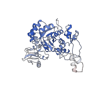 24442_7rfh_C_v1-2
HUMAN RETINAL VARIANT IMPDH1(595) TREATED WITH ATP, OCTAMER-CENTERED