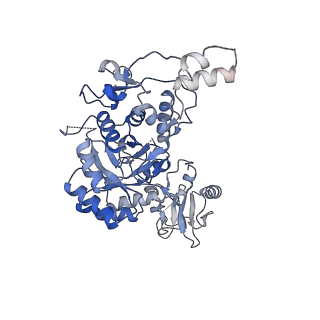 24442_7rfh_D_v1-2
HUMAN RETINAL VARIANT IMPDH1(595) TREATED WITH ATP, OCTAMER-CENTERED
