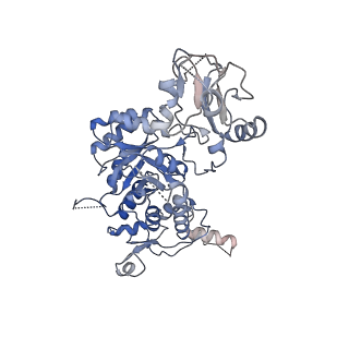 24442_7rfh_H_v1-2
HUMAN RETINAL VARIANT IMPDH1(595) TREATED WITH ATP, OCTAMER-CENTERED