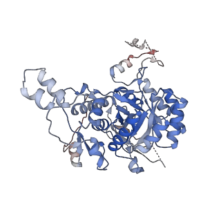 24443_7rfi_F_v1-2
HUMAN RETINAL VARIANT IMPDH1(595) TREATED WITH GTP, ATP, IMP, NAD+, INTERFACE-CENTERED