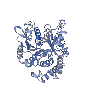4861_6rf2_B_v1-2
Cryo-EM structure of the C-terminal DC repeat (CDC) of human doublecortin (DCX) bound to 13-protofilament GDP.Pi-microtubule