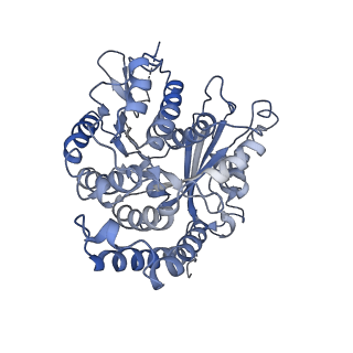 4861_6rf2_a_v1-2
Cryo-EM structure of the C-terminal DC repeat (CDC) of human doublecortin (DCX) bound to 13-protofilament GDP.Pi-microtubule